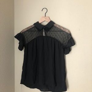 LILY WHITE Black Ruffle Sheer Collared Short Sleeve Blouse